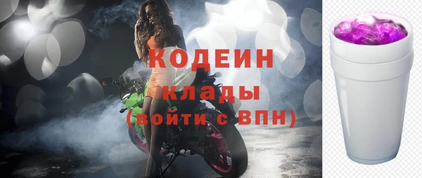 ГАЛЛЮЦИНОГЕННЫЕ ГРИБЫ Арсеньев