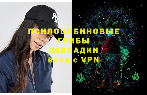 apvp Аркадак