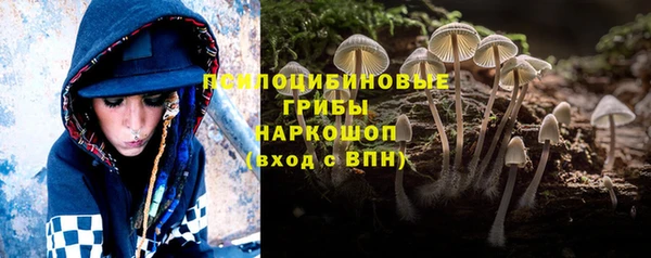 ГАЛЛЮЦИНОГЕННЫЕ ГРИБЫ Арсеньев