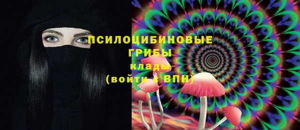 ГАЛЛЮЦИНОГЕННЫЕ ГРИБЫ Арсеньев