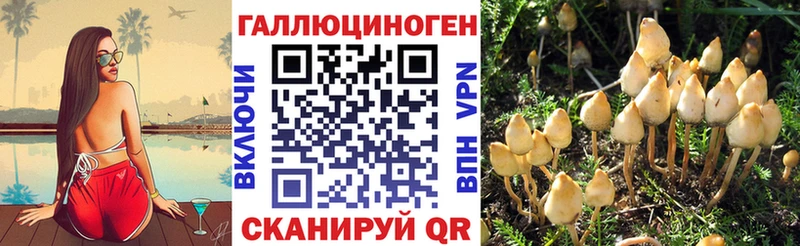 купить наркотики сайты  Льгов  Галлюциногенные грибы Psilocybe 
